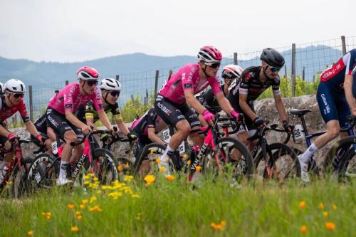 tour-du-beaujolais-2024-photo-patrick-berjot-photographies-11